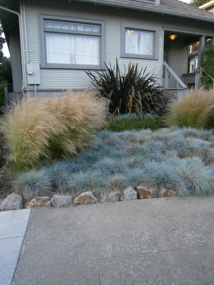 Oakland Grass Garden